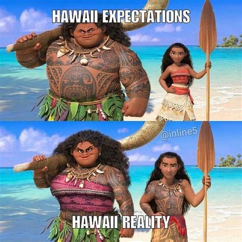 We offer you a variety of excursions to choose from, in every port you&x27;ll visit. . Hawaii vacation memes
